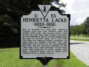 Henrietta Lacks: person, pictures and information - Fold3.com